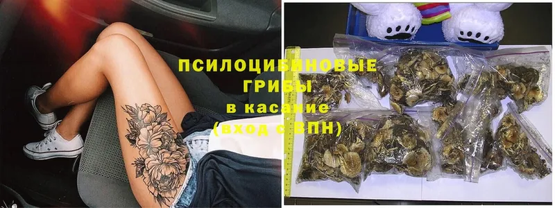 OMG ССЫЛКА  Комсомольск  Псилоцибиновые грибы Psilocybe 